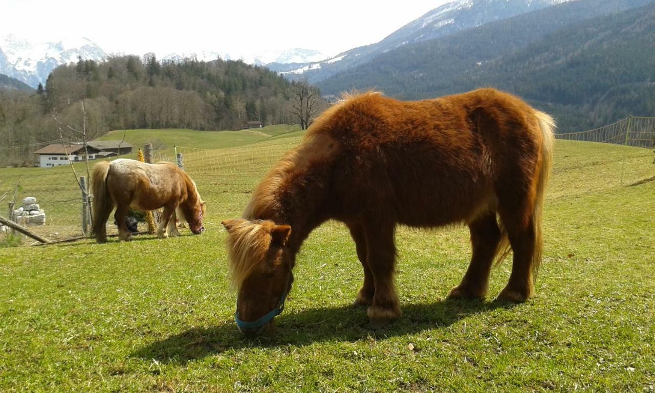 Vorderponholz Ferienwohnungen Ramsau bei Berchtesgaden Esterno foto