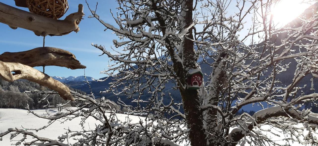 Vorderponholz Ferienwohnungen Ramsau bei Berchtesgaden Esterno foto